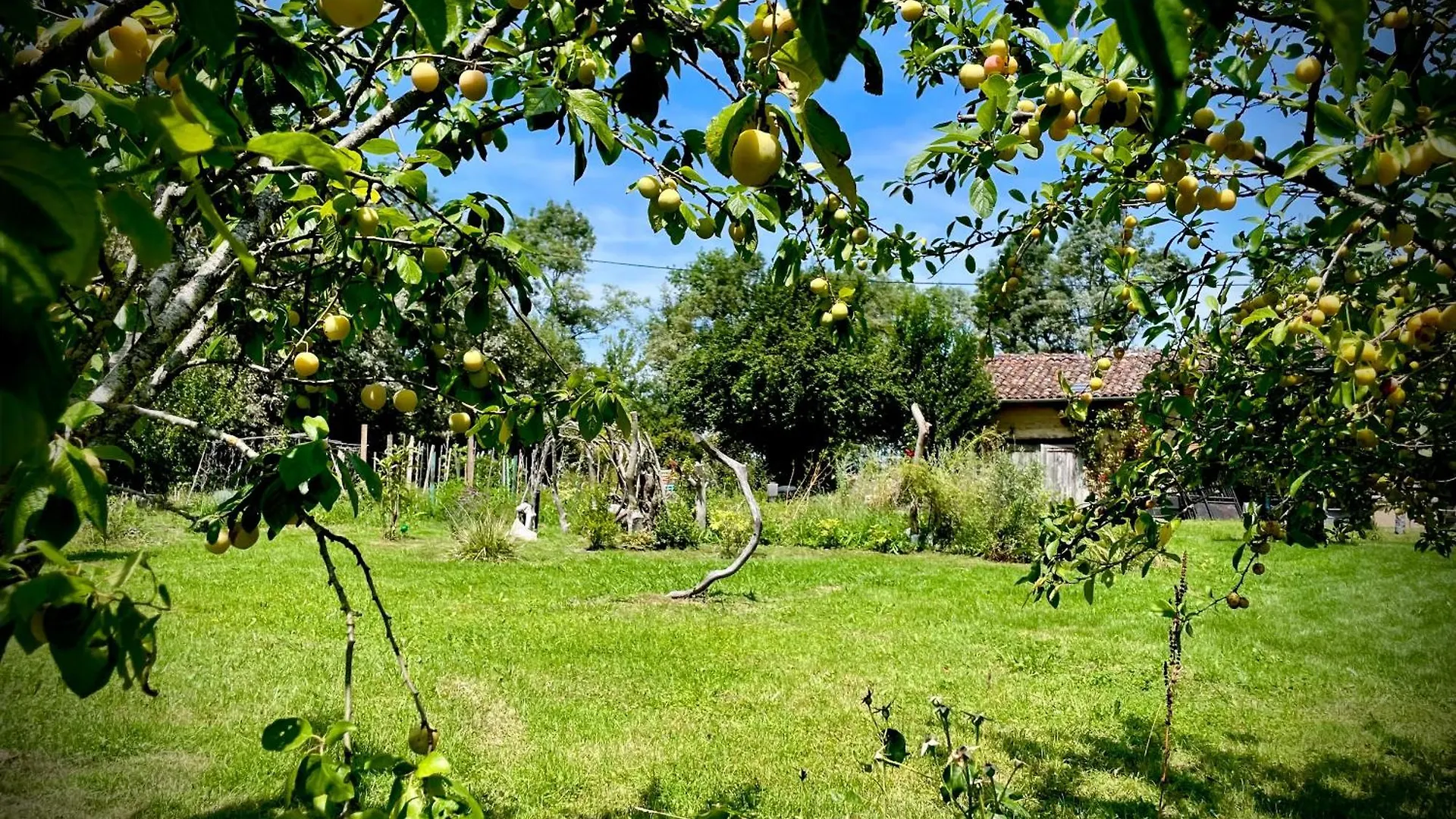 La Main Du Coeur Chambre D'Hotes De Charme A La Campagne Loubens-Lauragais 0*,  Francie